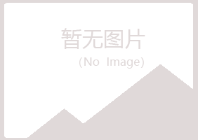 无棣县夏日能源有限公司